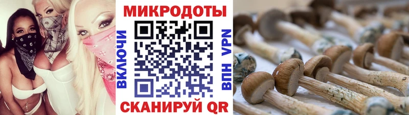 Галлюциногенные грибы Cubensis  магазин продажи наркотиков  Вичуга 